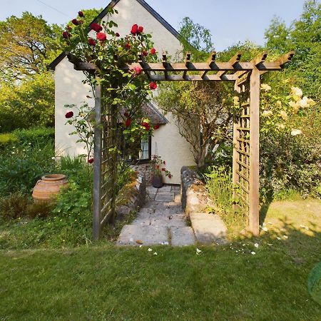 Sundowner - Axminster Devon Villa Esterno foto